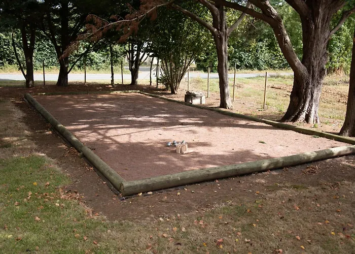 L'ora Des Marais Vi *