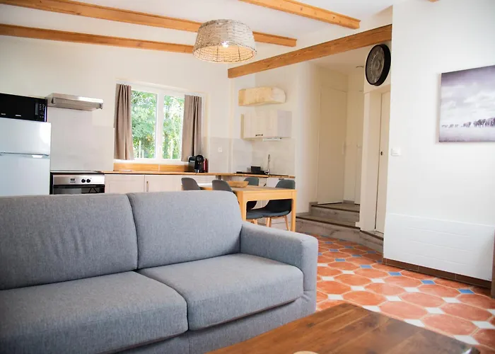 L'ora Des Marais Vi *